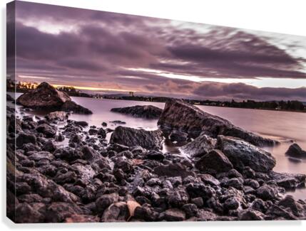 munksjo igen Canvas Print