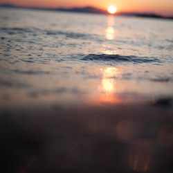 The tiny wave