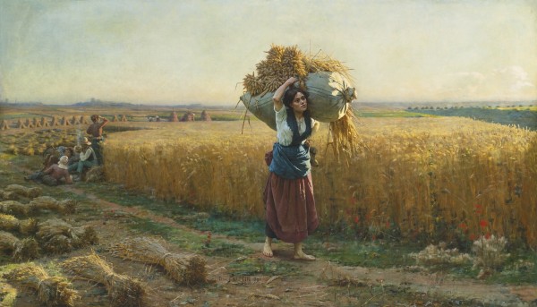 The harvest Print