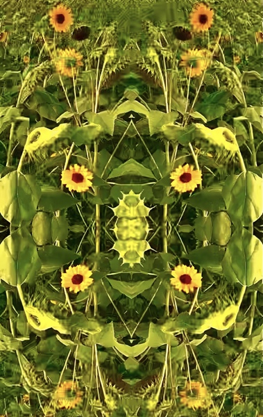 IMG 1981 Print