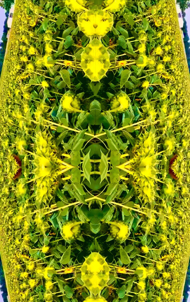 IMG 1990 Print