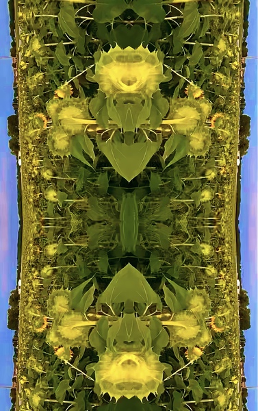 IMG 1998 Print