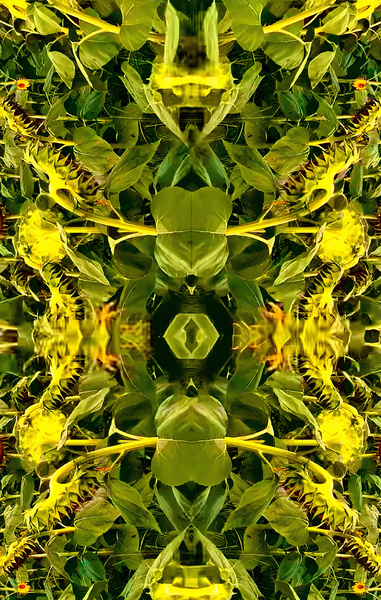 IMG 2001 Print