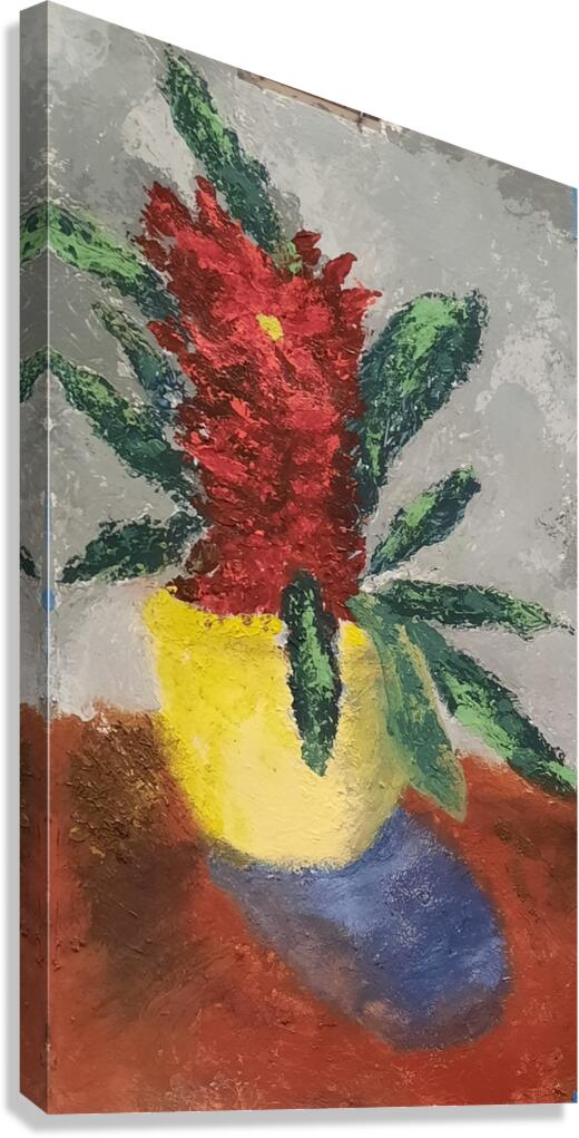 Red Lady Canvas Print