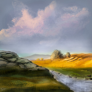 Field And Stream