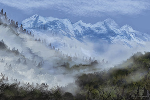 Alaskan Fog