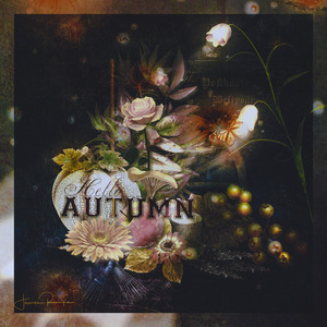 Autumn Lights
