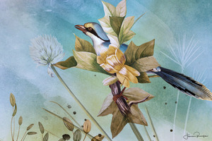 Bird And Flower