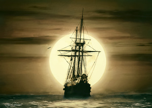 Moonlit Navigation