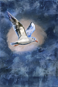 Navigator