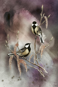 Passerine