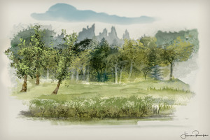 Saturday In The Park