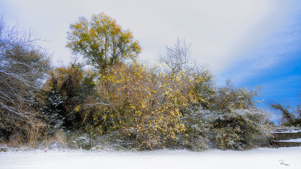 Let It Snow Digital Download