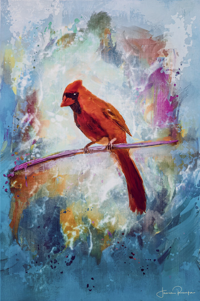 Mister Cardinal by James Ranka