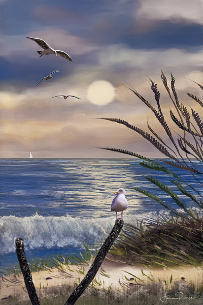 Seagull Island Digital Download