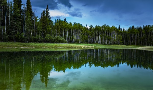 Still lake  Print