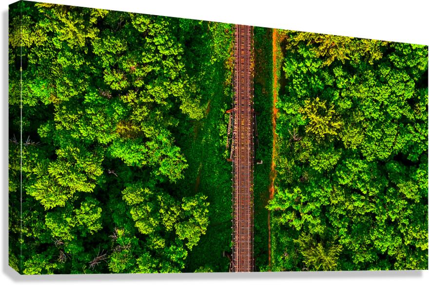 Train Tracks & Trees Canvas Print