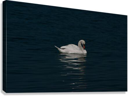 Serenity Canvas Print