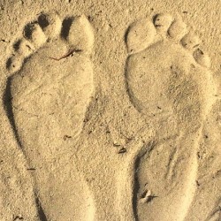Footprints in the Sand