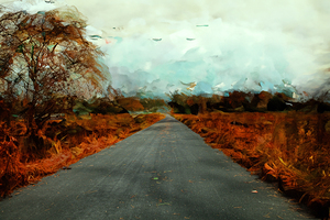 The Back Country Road Home