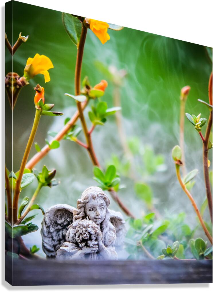 Child Angel  Canvas Print