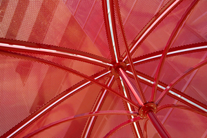 A Charlotte Shade of Red
