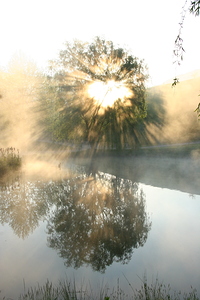 Let There Be Light