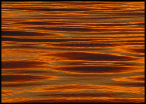 Water Reflections II