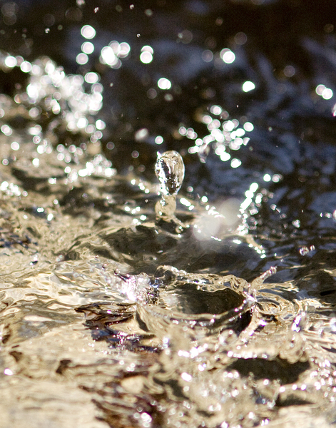 Make a Splash by LifeIsFuller