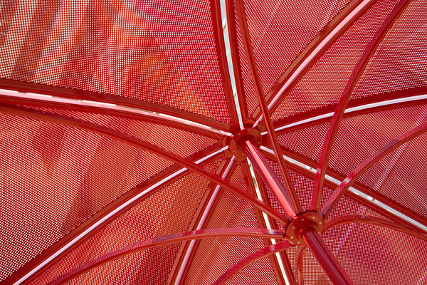A Charlotte Shade of Red by LifeIsFuller