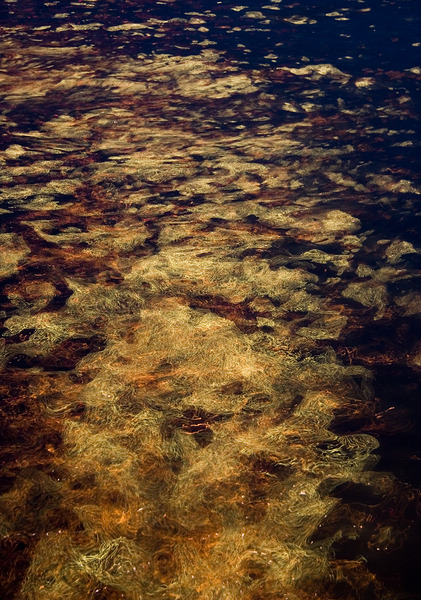 Fire and Water I by LifeIsFuller