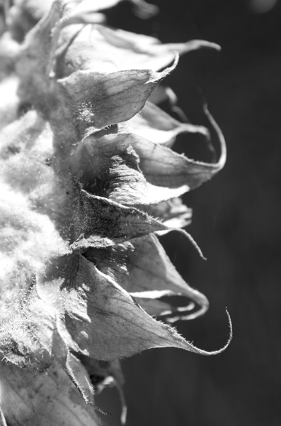 Hold On Keep Growing by LifeIsFuller