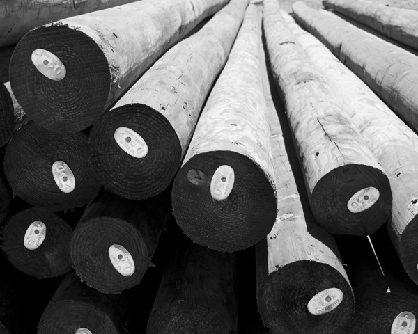 Timber by LifeIsFuller