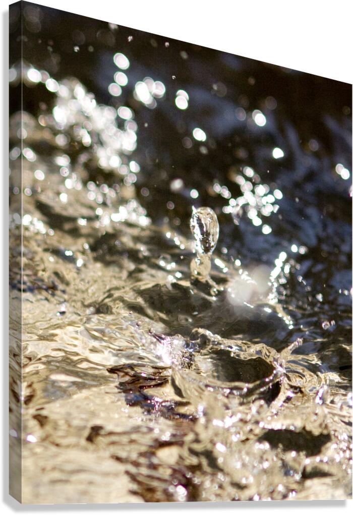Make a Splash Canvas Print