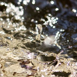 Make a Splash