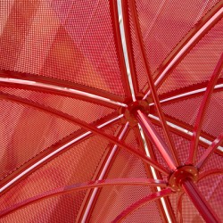 A Charlotte Shade of Red