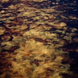 Fire and Water I