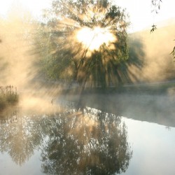 Let There Be Light
