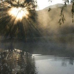Let There Be Light 2