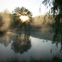 Let There Be Light 3