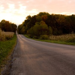 Take Me Home