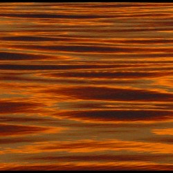 Water Reflections II