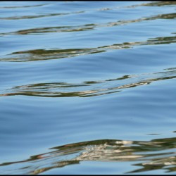 Water Reflections III
