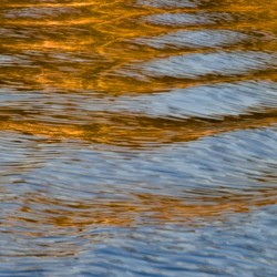 Water Reflections VI