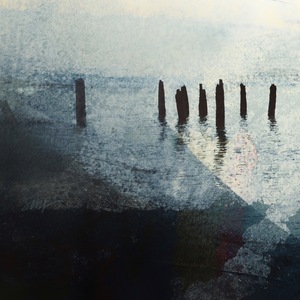 Herring Cove-Loons