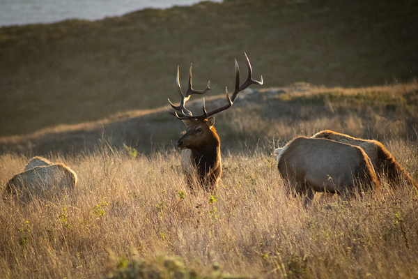 IMG 2096 by Noah Chapman