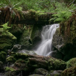 Trillium Falls