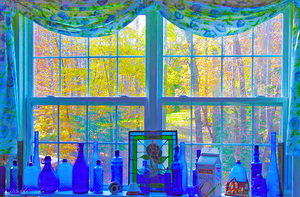 Kitchen Window 
