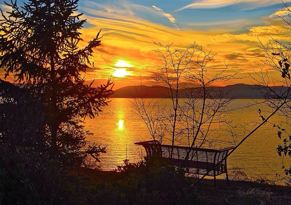 Lonely Bench at Croton Sunset by Michele Milano Arts