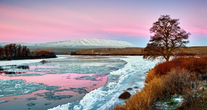 Rattlesnake Mountain